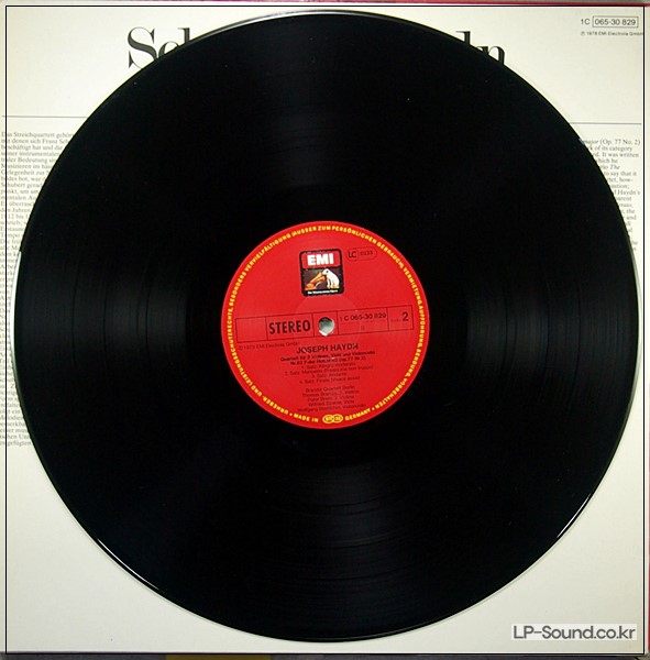 SCHUBERT* / HAYDN*, BRANDIS QUARTETT BERLIN* -   / STREICHQUARTETT NR.82